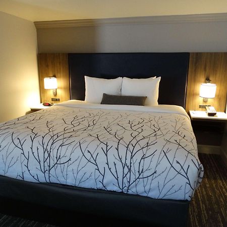 Best Western Premier Denver East Kamer foto