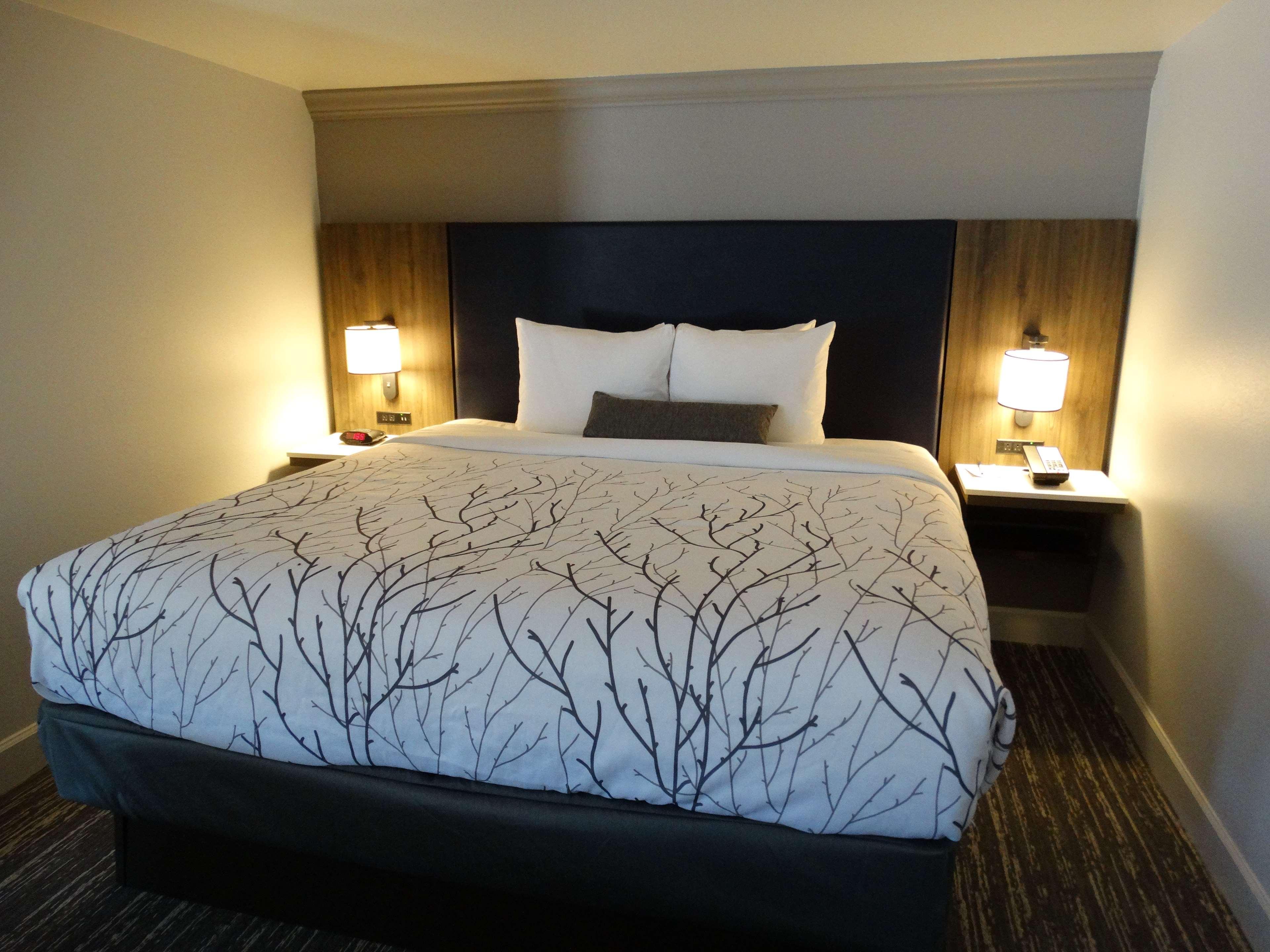 Best Western Premier Denver East Kamer foto